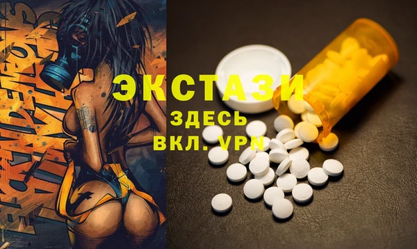ECSTASY Алзамай