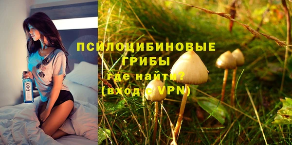 героин Алексин