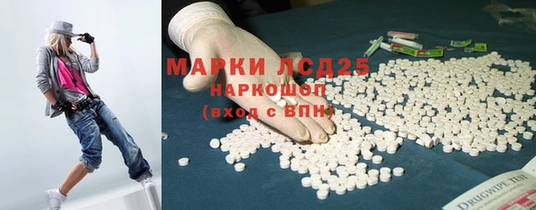 ECSTASY Алзамай