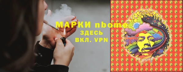 ECSTASY Алзамай