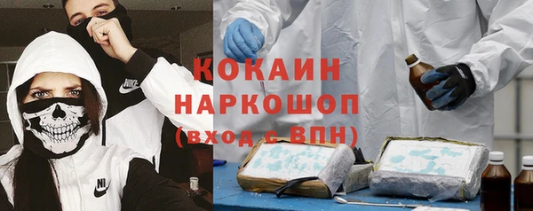 ECSTASY Алзамай