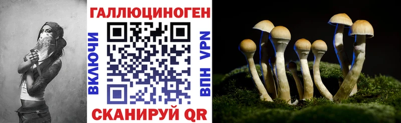 ОМГ ОМГ как зайти  Инза  Галлюциногенные грибы GOLDEN TEACHER 